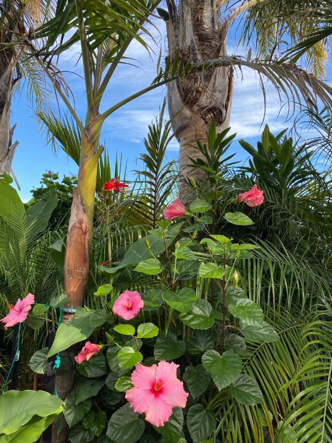 Palm Garden Papamoa Beach Paradise Eksteriør billede